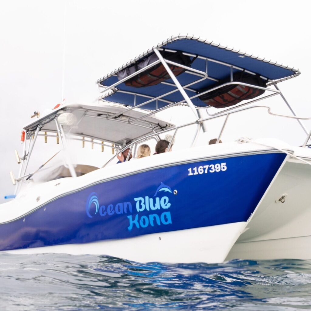 Ocean Blue Kona boat viewed from the water