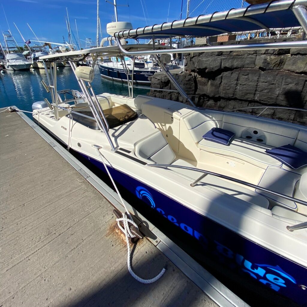 Dock-side boarding